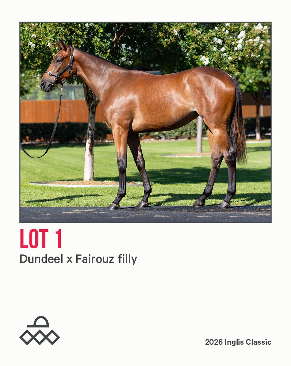 Arrowfield Stud tweet media