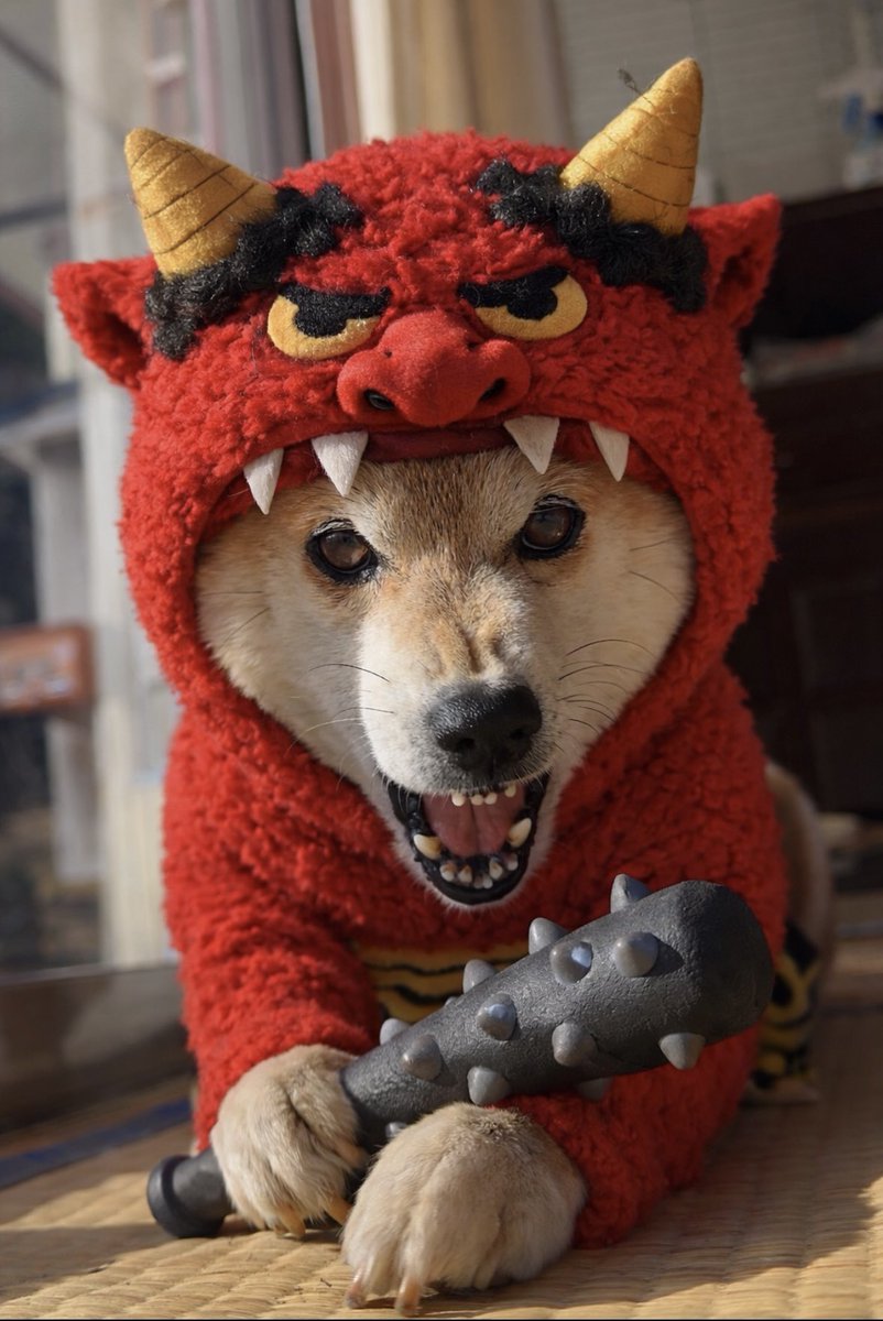 uchinomamesan's tweet photo. 遅れちゃった https://t.co/UuMyAwsHUM