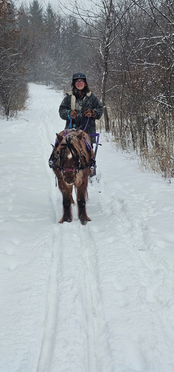 Shuffling into to my senior years was not an option for me.
The Drs were great at managing my decline. 
 I wanted more out of the life I have been given.
Aches, pains, brain fog, insomnia, inflammation and weight gain and the response was "your getting older"
Heck with that!