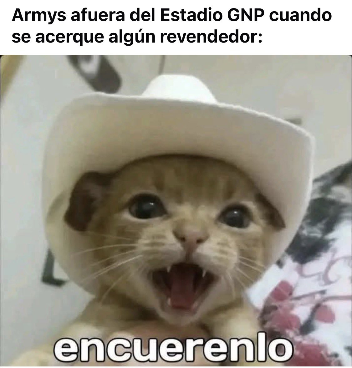 AlineNorena's tweet image. 