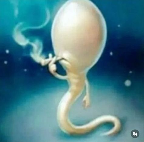 eu no saco do meu pai