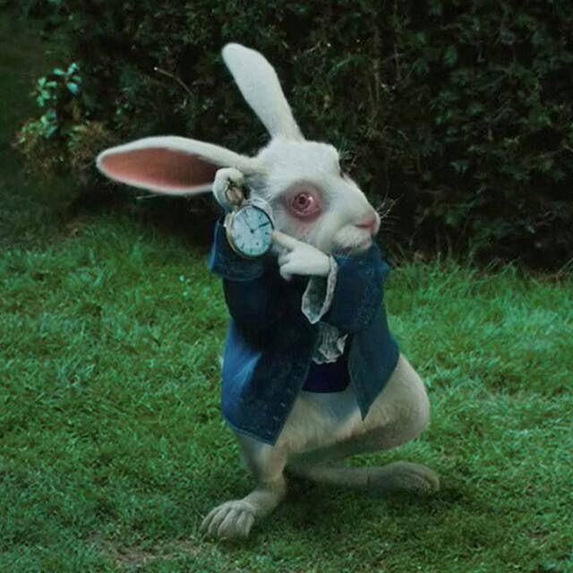 To all Timeless meme mfs:
(people that buy coins at a few 100k/mil with 200M -> 5B targets)...

Pls turn off your dopamine infuzed brain and read through this tweet, its not only about "mY mEmeCoiN"... thanks..

Name me one better meme / timeless meme that appeared this year…