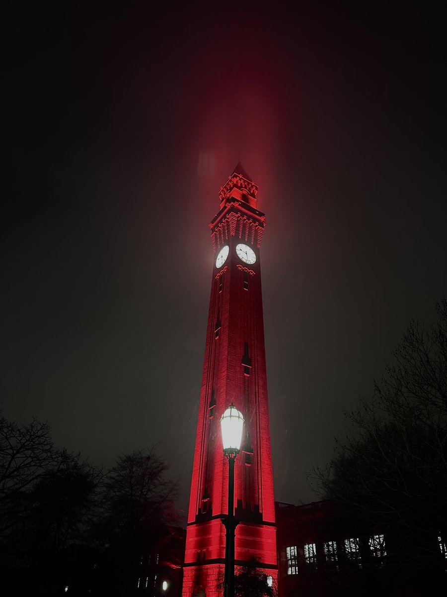 𝕄𝕣 𝔾 tweet media