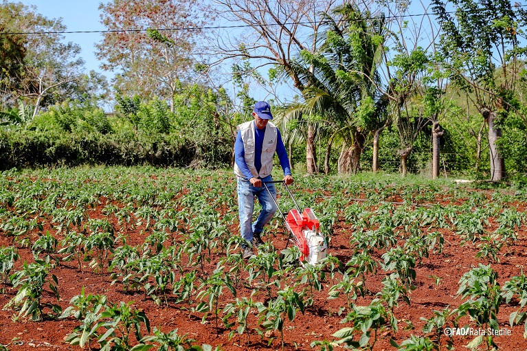 FAO Cuba tweet media