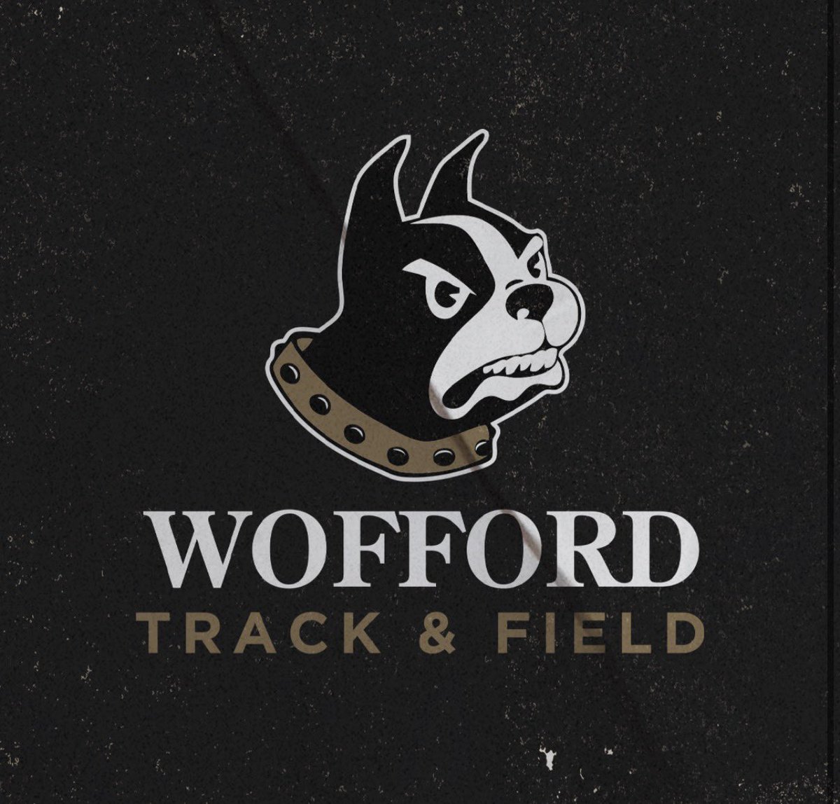 Grayson Crowe tweet media