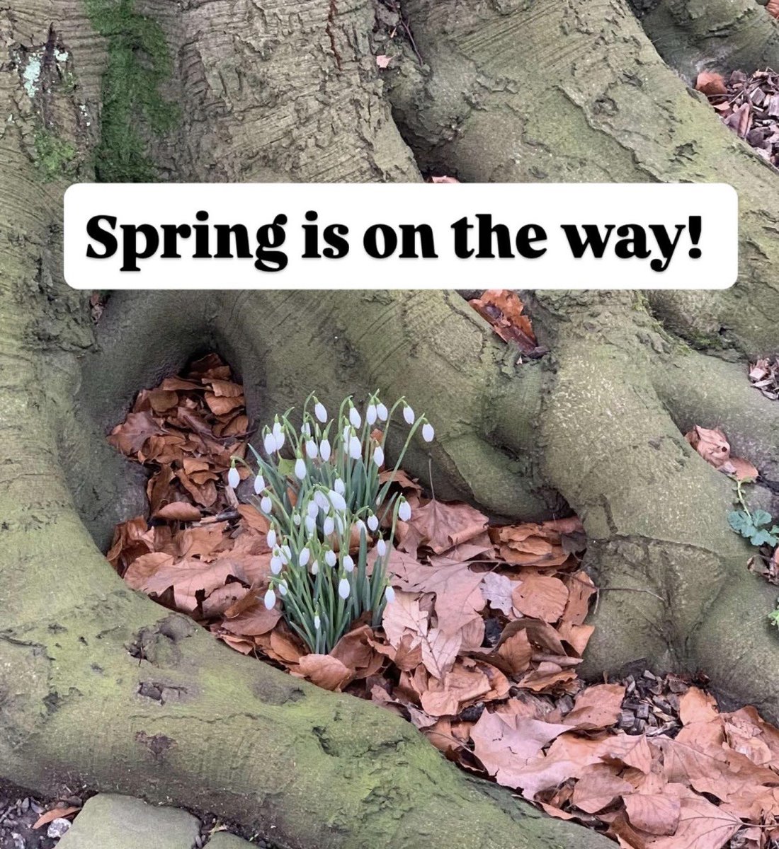 Friends of Parr Fold Park tweet media