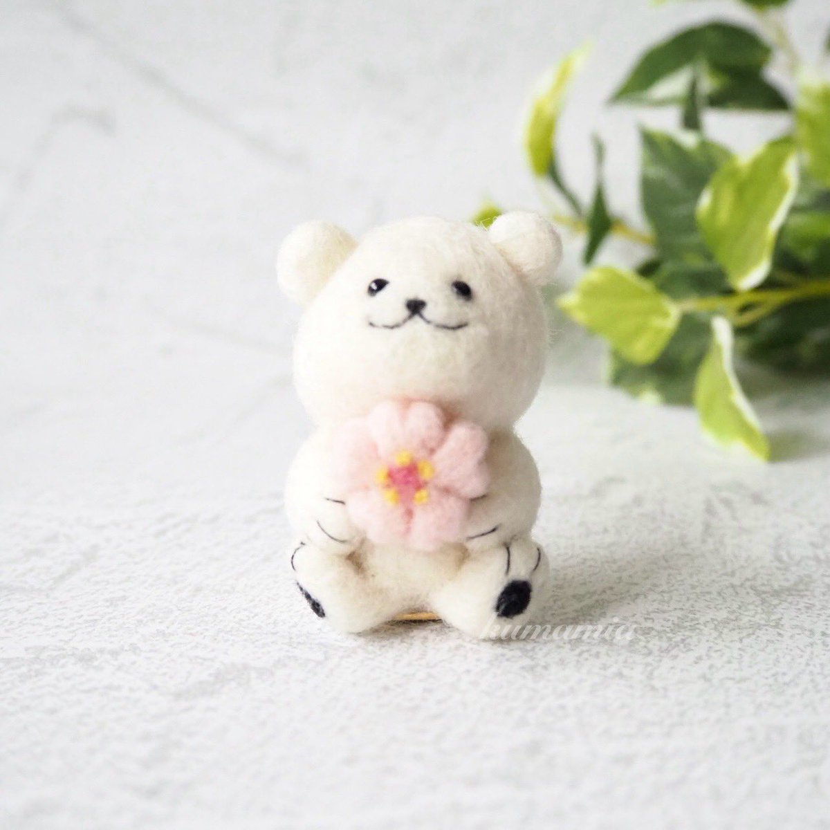 春ですね〜🌸✨✨