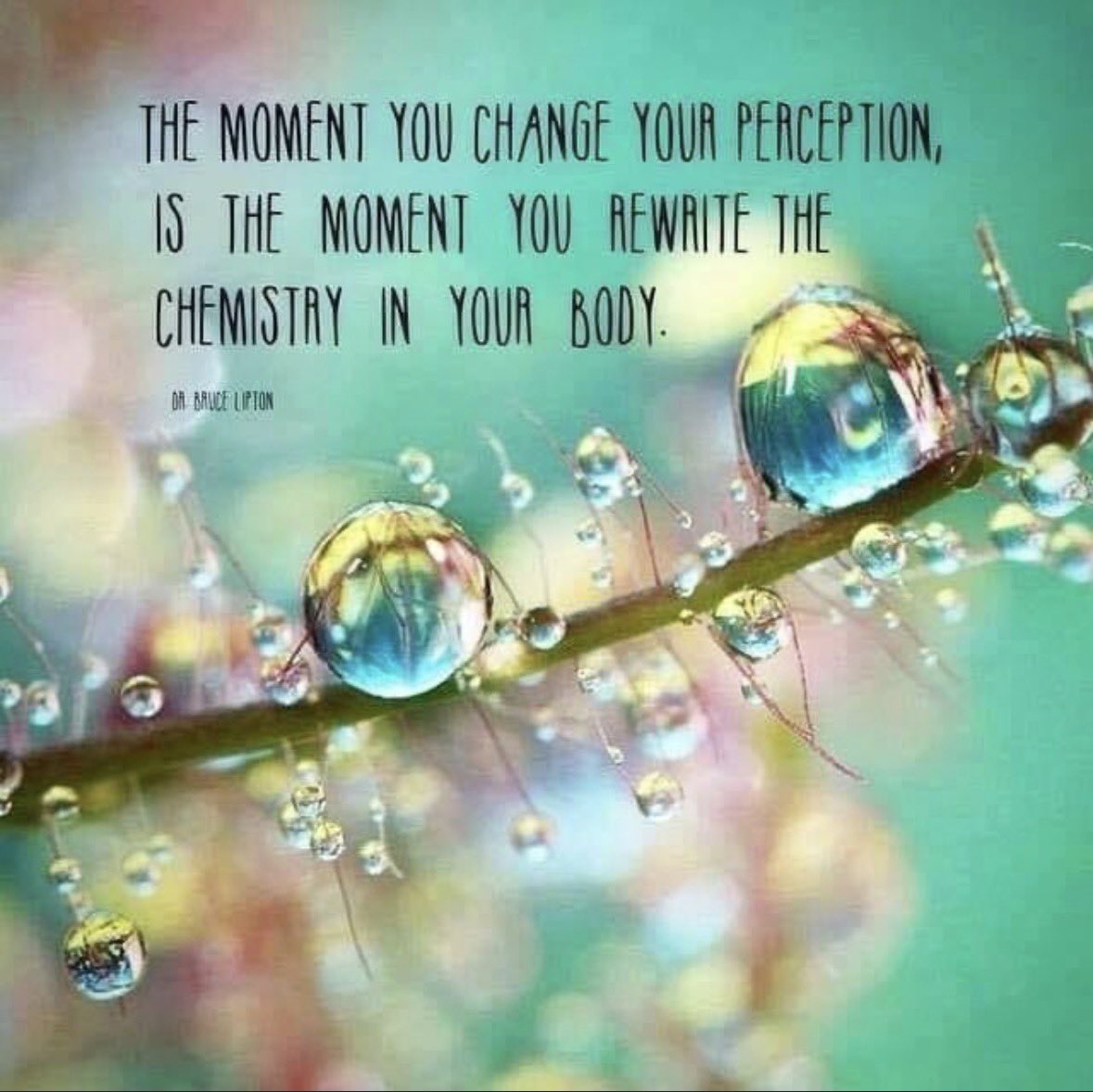 MBudha's tweet photo. #intuition #medicalintuition #payingattention https://t.co/waZ2bDQzIN