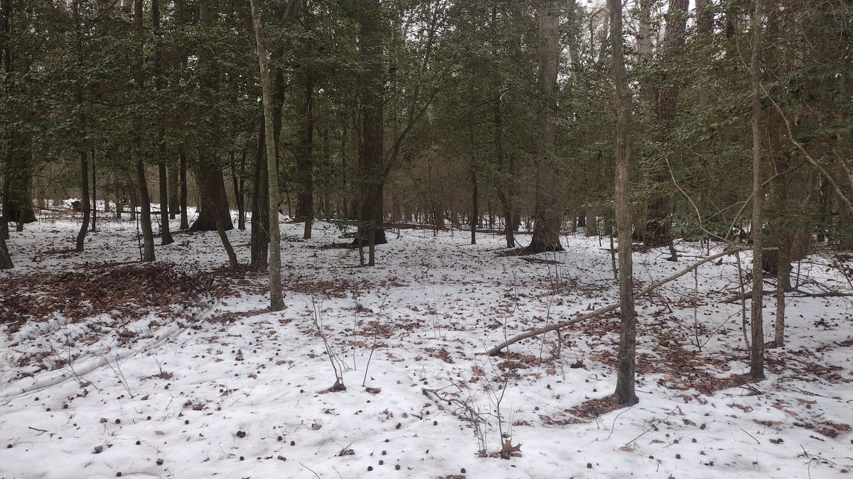 Sinking Creek tweet media