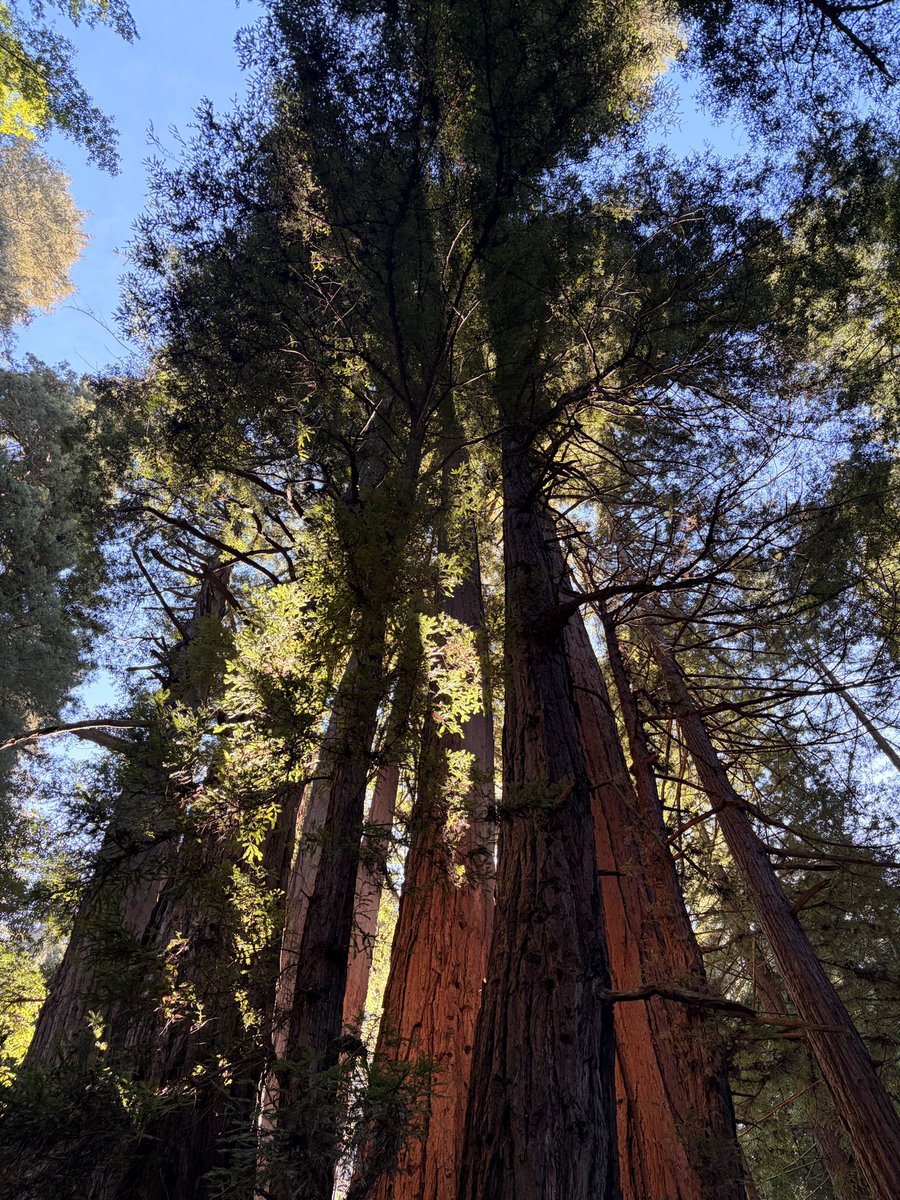 carlbroemel's tweet photo. We spent a few peaceful and beautiful days in and near Felton CA. Thx to @feltonmusichall for havin us! Moose Loon for his killer new tunes! Off to the California desert, playing Pioneertown at Pappy &amp; Harriet’s tomorrow.

Tour tickets - https://t.co/toRZ3cTsQU https://t.co/ce1ULrAxi5