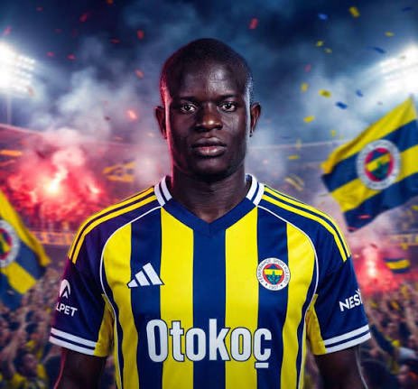 Fenerbahçe SK France 🇫🇷 tweet media