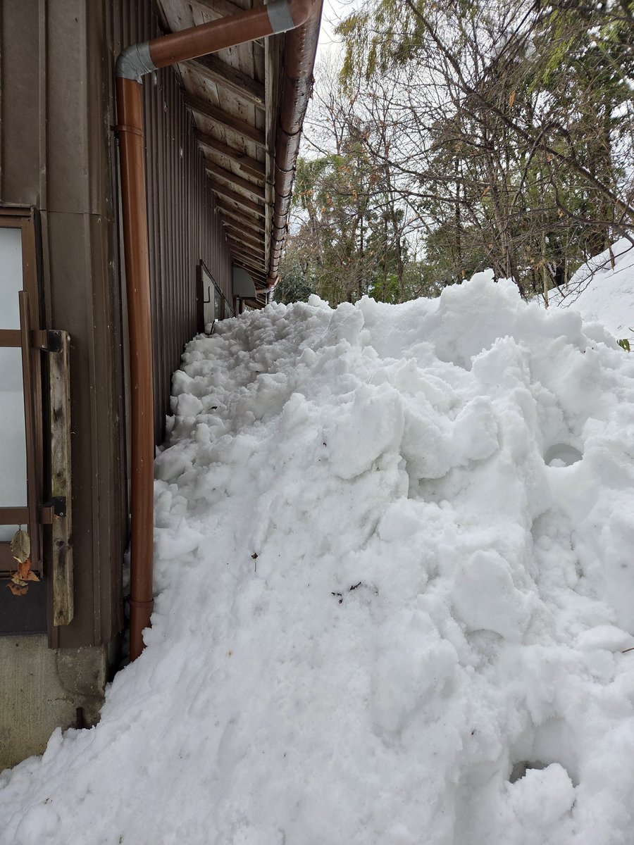 室外機が埋まり窓ガラスが…
物干し竿を足元に
雨どいが目線と平行
毎日退けた数十分後には落雪で元の木阿弥 
(꒪꒫꒪")ｶﾞｰﾝ
柏崎の片隅…災害級よ
 #大雪
 #新潟県