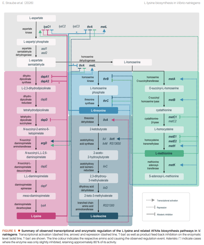 Microbial Cell tweet media