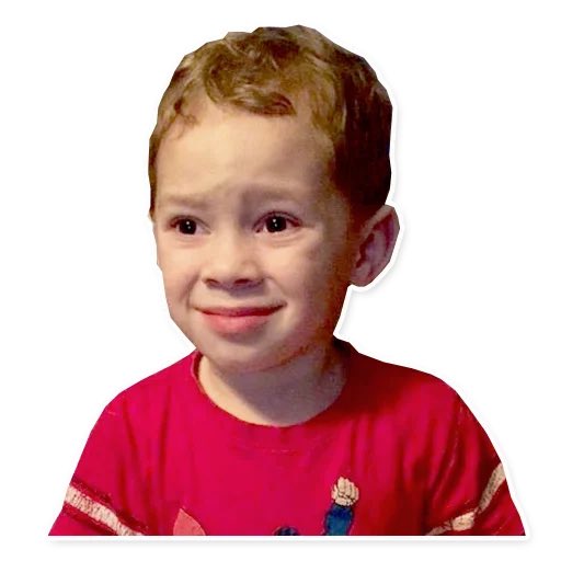 The Big ZizOut tweet media