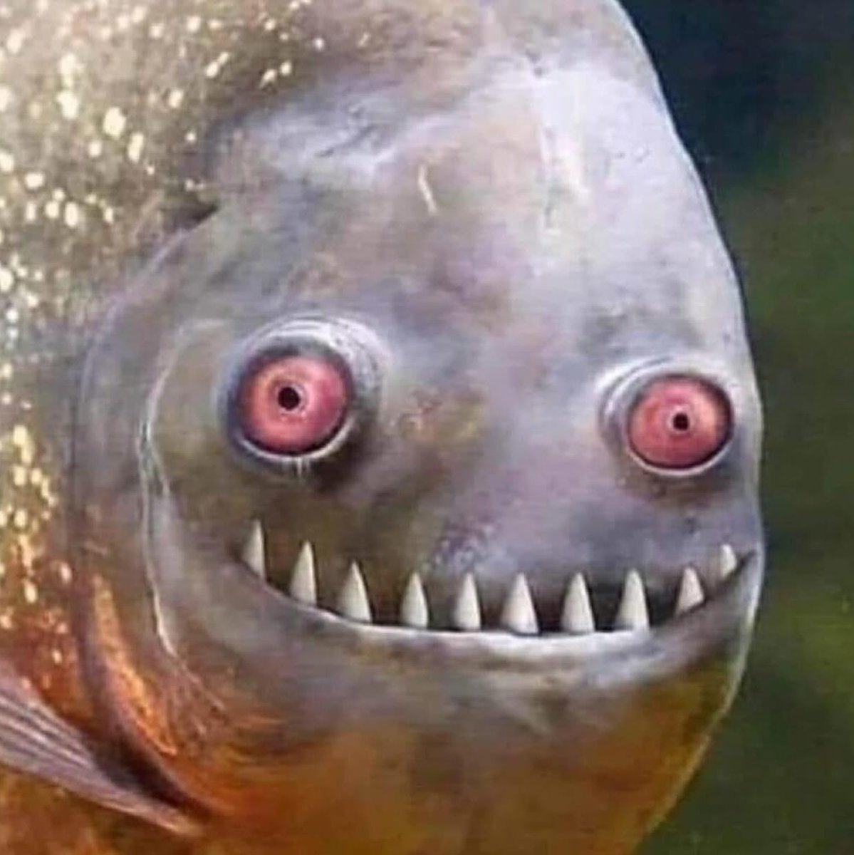 Andy Welsh 👓 tweet media