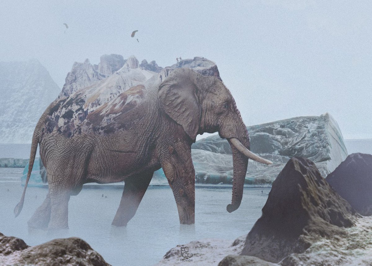 👾 fccview tweet media