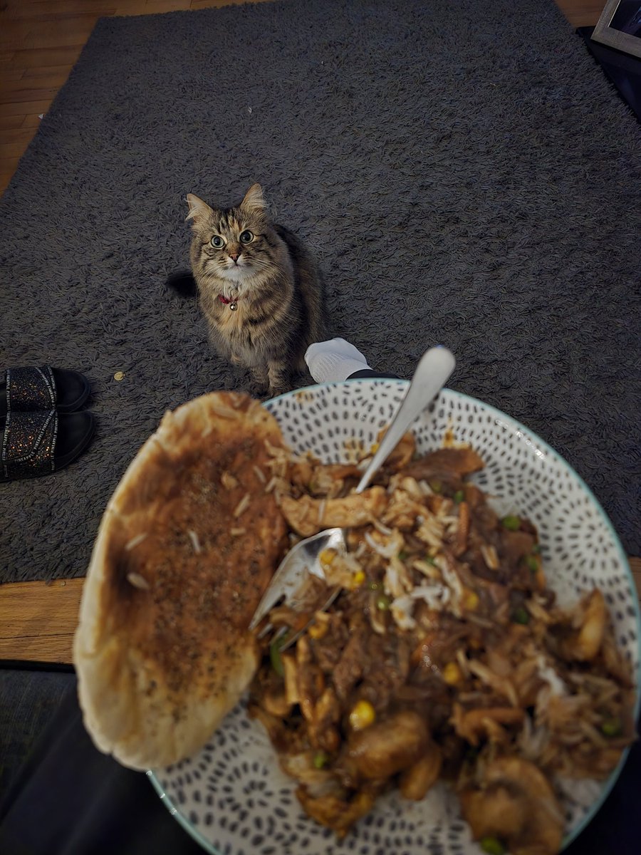 Phat Taco tweet media