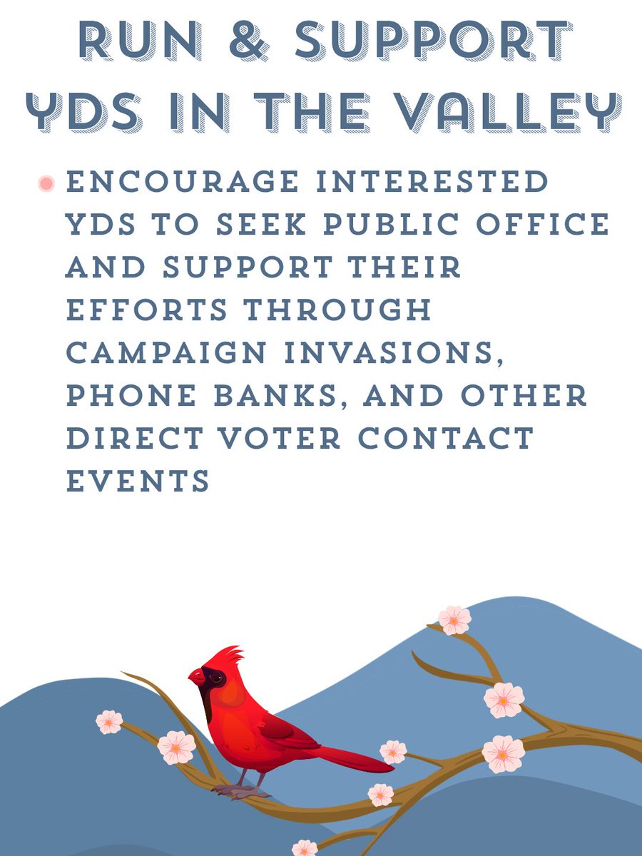 Jake Cooke tweet media