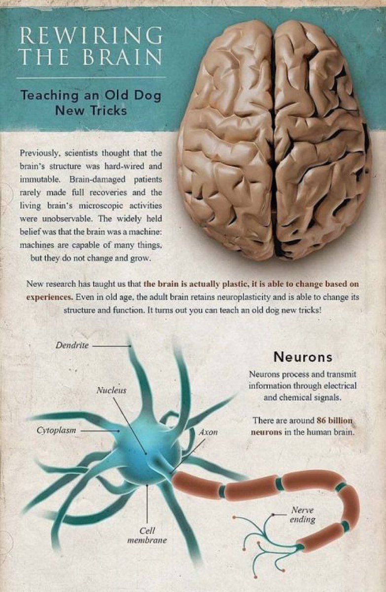 iHamadFahad7's tweet image. إعادة برمجة الدماغ (Neuroplasticity) ببساطة، ورسالتها الأساسية هي:

يمكنك تعلّم أشياء جديدة في أي عمر.

الخلاصة العلمية في الصورة:

•كان الاعتقاد القديم أن الدماغ ثابت ومكوّناته لا تتغير بعد الطفولة.

•لذلك كان يُظن أن التعافي من إصابات الدماغ محدود، وأن "العقل لا يتجدد".…