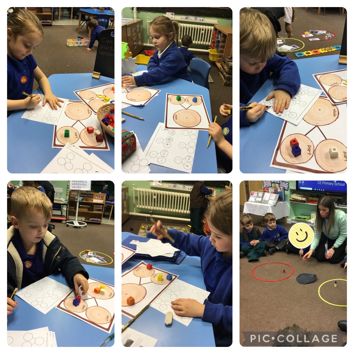 Whitegate Acorns tweet media