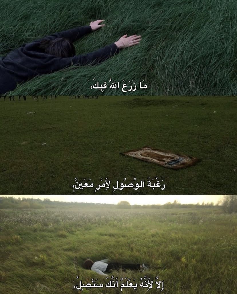 سَكَن tweet media