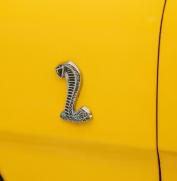 Boss351Pilot's tweet photo. I miss the yellow turd https://t.co/kRWgl00Q30