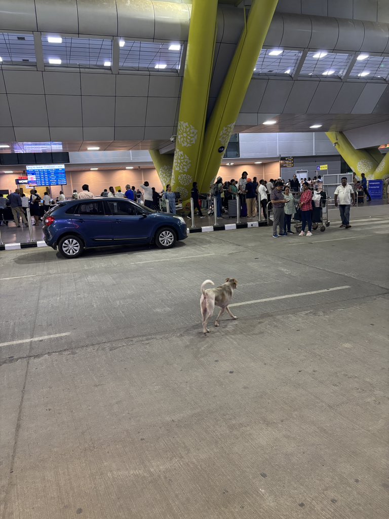 Omjasvin M D tweet media