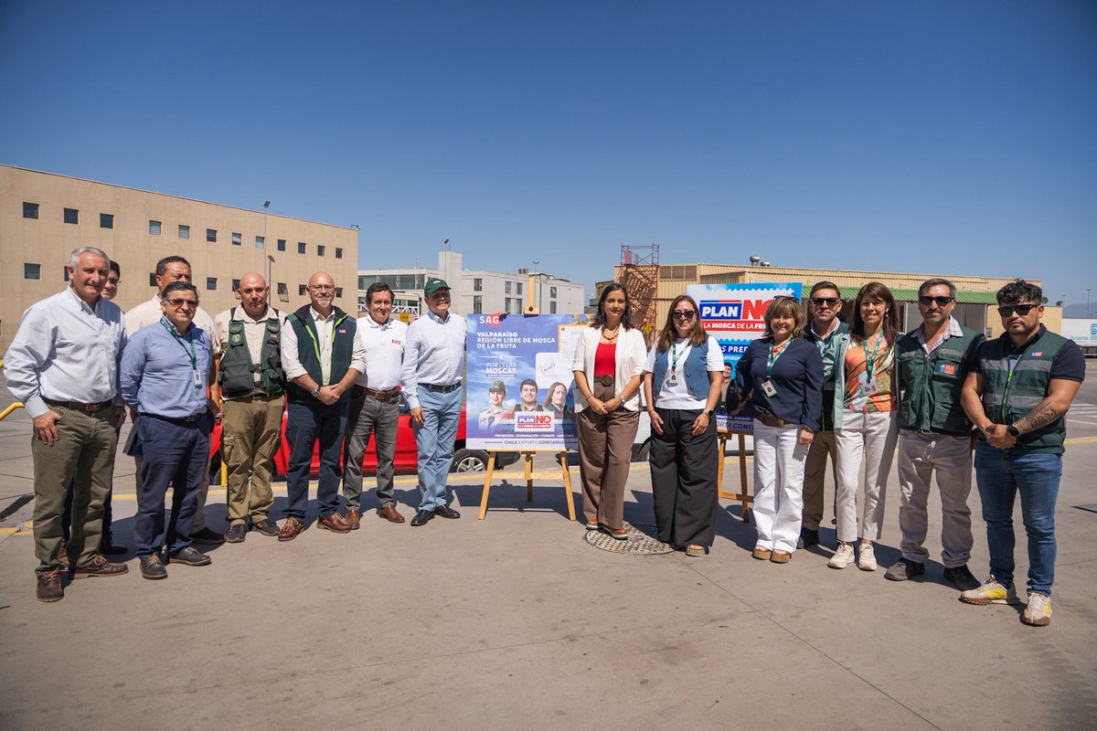 MinagriCL's tweet photo. ⛔️🪰 Valparaíso, región libre de mosca de la fruta

La ministra de Agricultura, Ignacia Fernández, junto al director (s) del @sagchile , Óscar Camacho, visitaron el Puerto Terrestre Los Andes para realizar una inspección en terreno con la Brigada Canina del SAG 🐶 y realizar un balance de la situación de la mosca de la fruta. 

Las autoridades destacaron la reciente erradicación del brote de mosca de la fruta (Ceratitis capitata) en la región de Valparaíso, tras cumplir todos los requisitos técnicos establecidos.

Finalmente, hicieron un llamado a la colaboración de la ciudadanía, productores, transportistas y comerciantes. Declarar los productos, respetar la normativa y colaborar con el SAG son acciones clave para que Chile mantenga su condición de territorio libre de