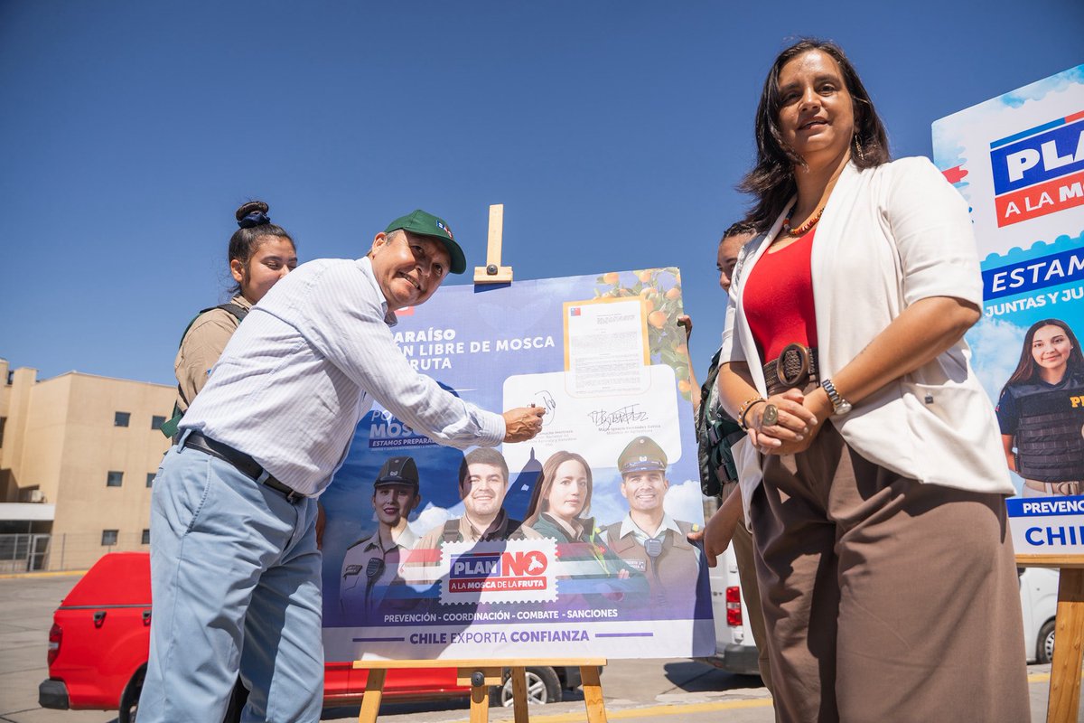 MinagriCL's tweet photo. ⛔️🪰 Valparaíso, región libre de mosca de la fruta

La ministra de Agricultura, Ignacia Fernández, junto al director (s) del @sagchile , Óscar Camacho, visitaron el Puerto Terrestre Los Andes para realizar una inspección en terreno con la Brigada Canina del SAG 🐶 y realizar un balance de la situación de la mosca de la fruta. 

Las autoridades destacaron la reciente erradicación del brote de mosca de la fruta (Ceratitis capitata) en la región de Valparaíso, tras cumplir todos los requisitos técnicos establecidos.

Finalmente, hicieron un llamado a la colaboración de la ciudadanía, productores, transportistas y comerciantes. Declarar los productos, respetar la normativa y colaborar con el SAG son acciones clave para que Chile mantenga su condición de territorio libre de