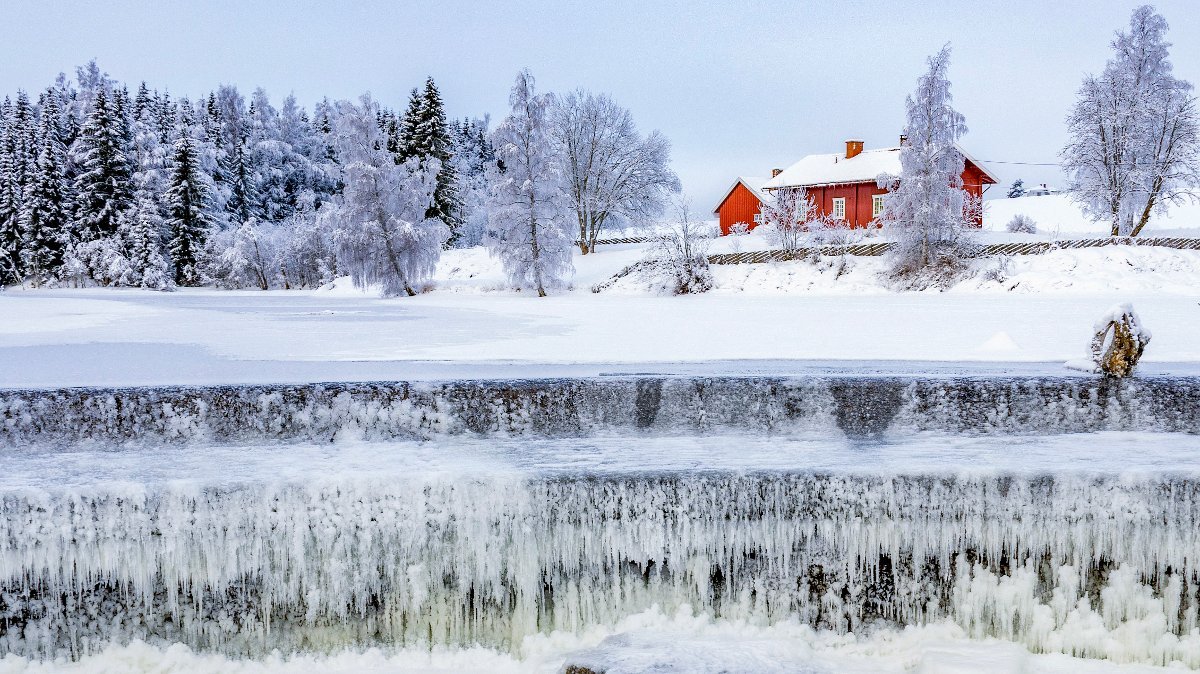 Jan Herdal tweet media