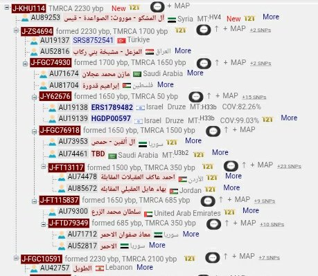 Y-DNA Sequencing in Syria 🧬🇸🇾 tweet media