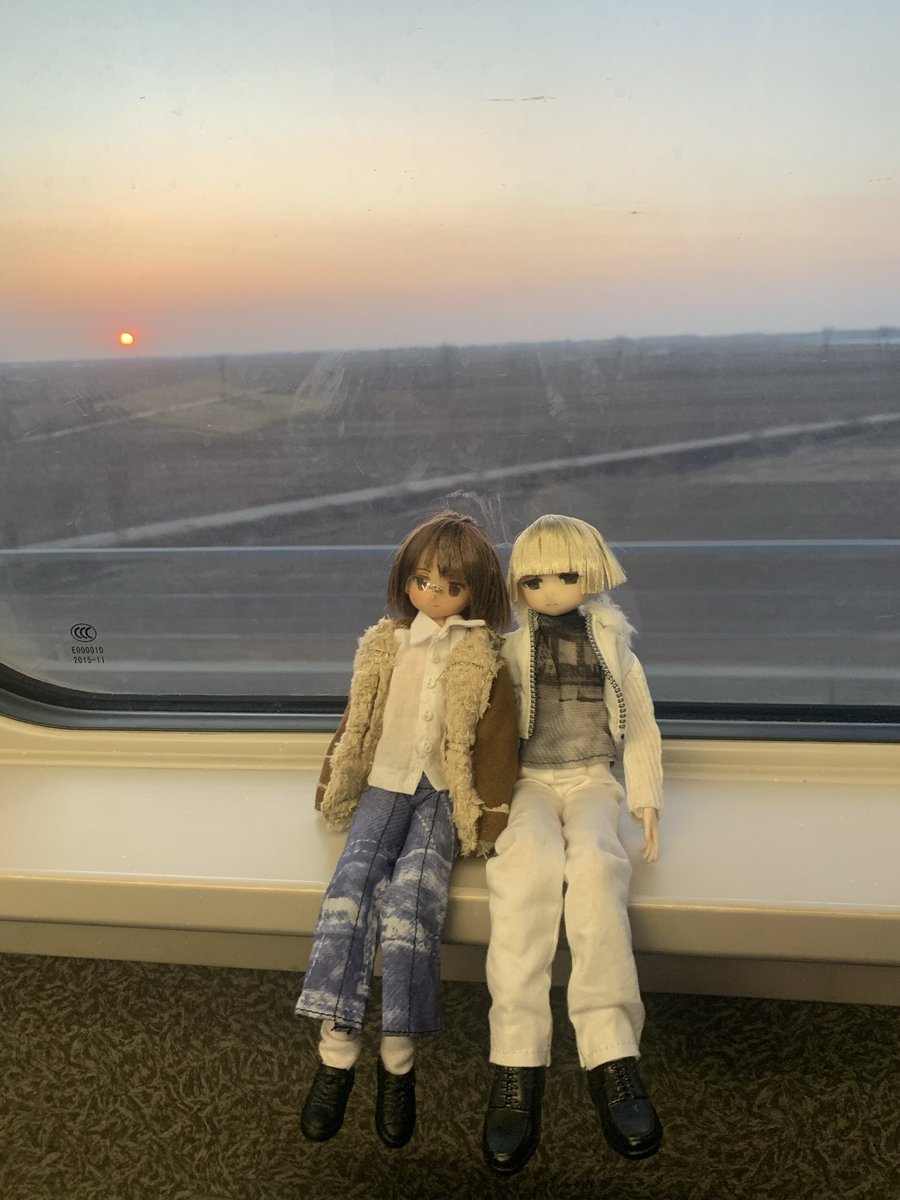 electrolytee905's tweet photo. 给@Veronica_Mirror 的签绘 https://t.co/tplGbEa6Pj