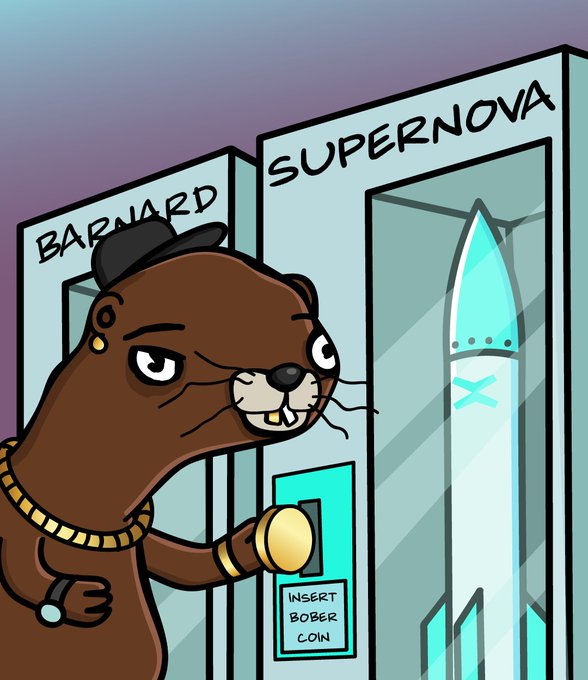 Adrian Bobercea $BOBER tweet media