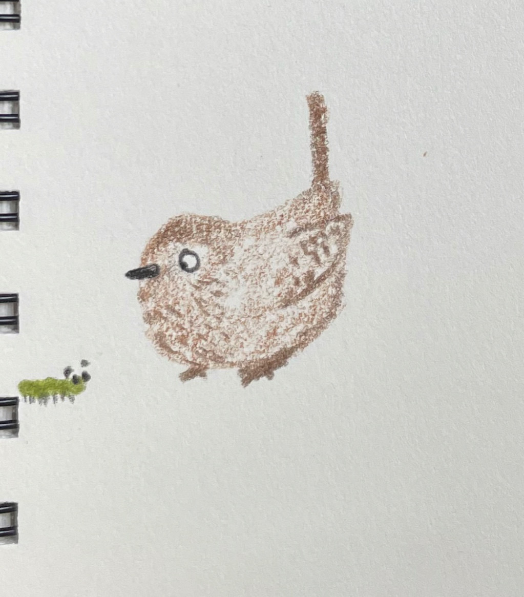 alicehattan's tweet photo. winter wrens https://t.co/9JebSb1xcb