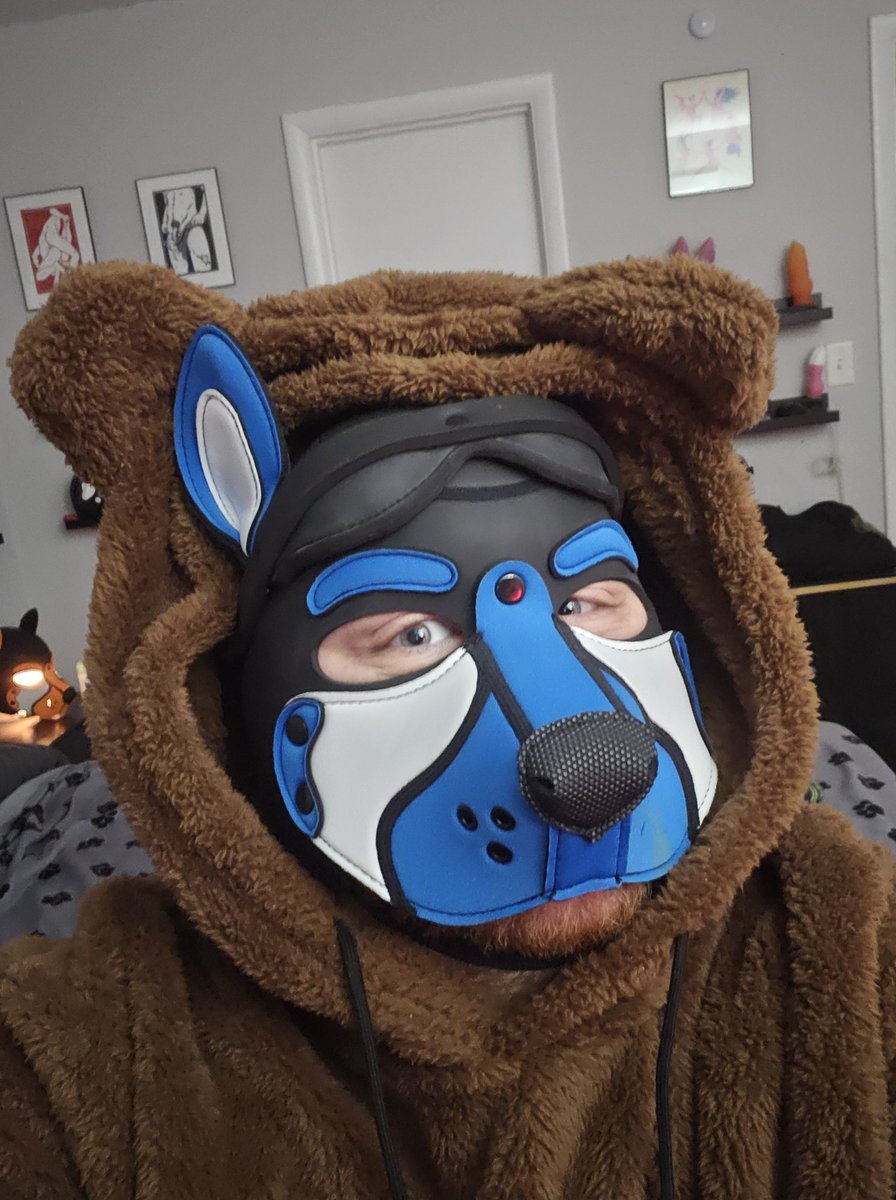 Pup Cobalt tweet media