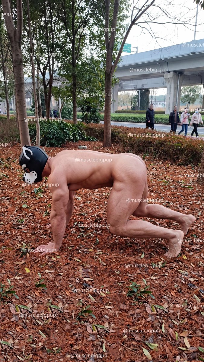 突然来了好多人，被看光了，一只200斤的肌肉狗在地上爬行，没办法，反正带上头套了就要做自己，看光就看光吧，很爽！你们如果遇到我，会怎样？大家可以随意评论，期待！
#肌肉狗 #肌肉 #暴露 #健美冠军