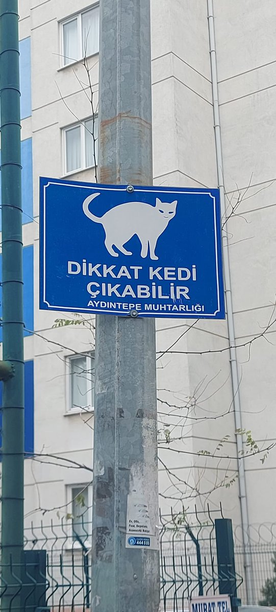 essstrk's tweet photo. Küçük bir tabela, büyük bir farkındalık.
Aydıntepe Muhtarlığı’na bu güzel duyarlılık için teşekkürler. 👏🐾
Darısı diğer muhtarlıkların başına

#SokakCanları
#DikkatKediÇıkabilir
#Merhamet
#CanDostlar
#HayvanHakları
#BirKapBirCan
#ÖrnekDavranış
#DuyarlıMahalle
#İyilikBulaşıcıdır https://t.co/RZSTDP5JfT