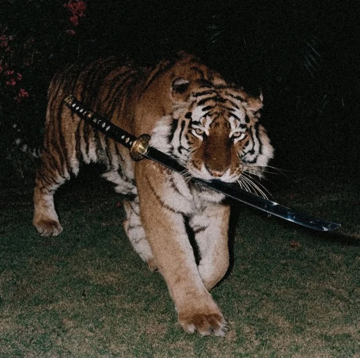 reXchillect's tweet image. 