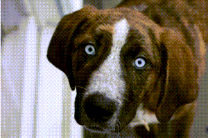 Ask The Headhunter tweet media