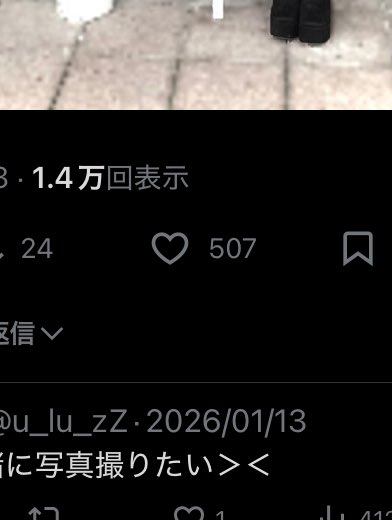 ❄️️🩵 tweet media