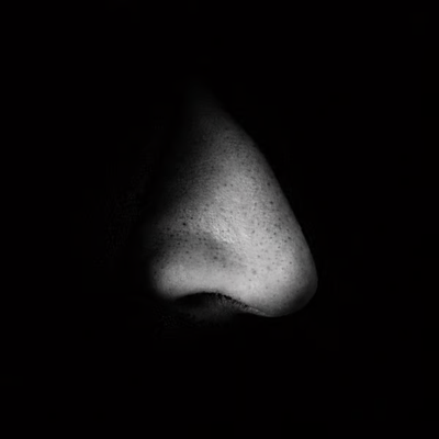 KankiAlpha's tweet image. We're in a full blown Jew meta and yet no one has tokenized their most distinctive feature?

The Nose of a Jew is the difference between us Goyim and the chosen ones...

Supposedly, Jews can smell opportunities from miles away with their massive nose... Like this one.

$Nose