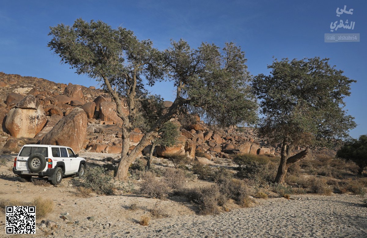 علي بن أحمد الشهري | Ali ALShahri tweet media