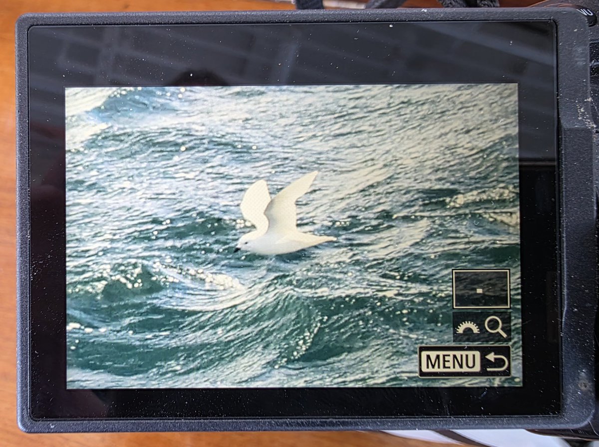 Allan Conlin tweet media