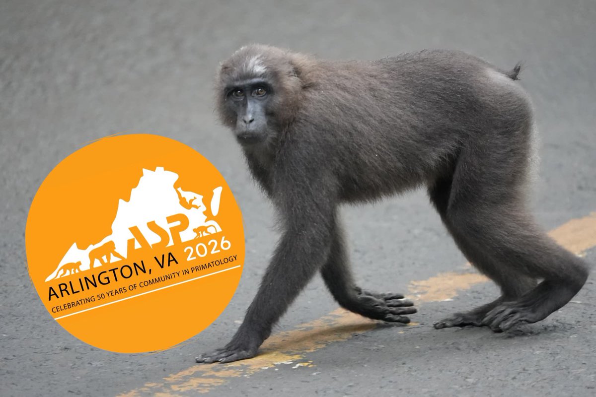 AmSoc Primatologists tweet media