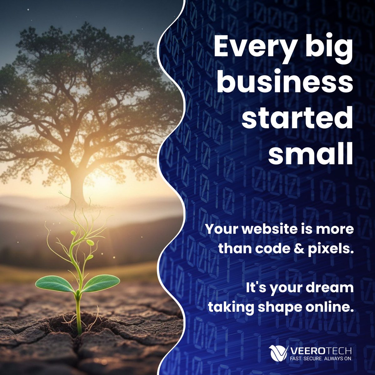 VeeroTech Web Hosting tweet media