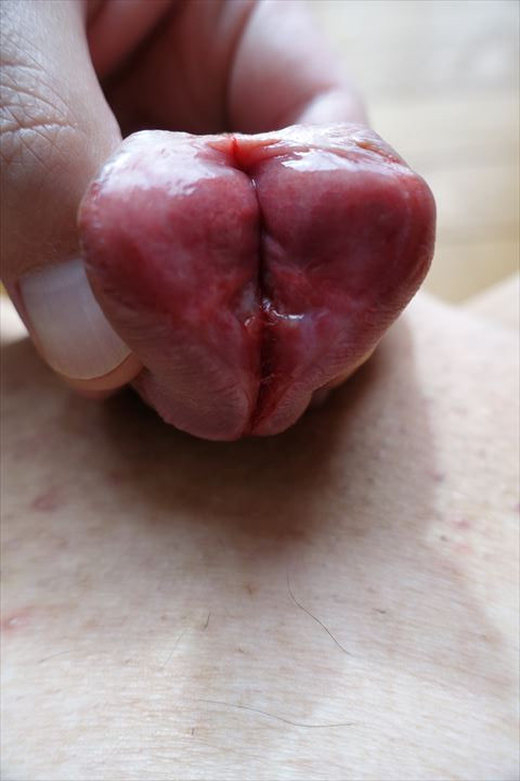 Wlllwalxt tweet media