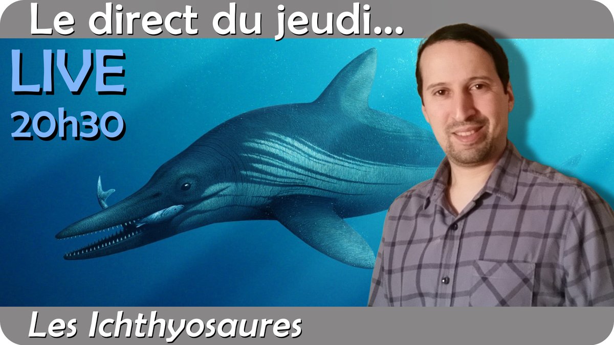 Simplex Paléo tweet media