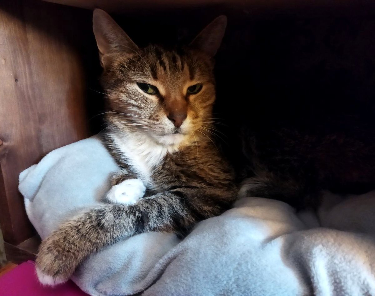 Кусалочка tweet media