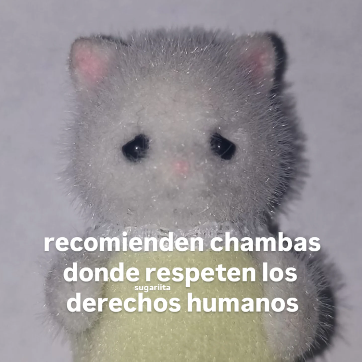 YoXLas40Horas2's tweet photo. Recomienden :(
#40horasYA https://t.co/1ZR5RHXcln