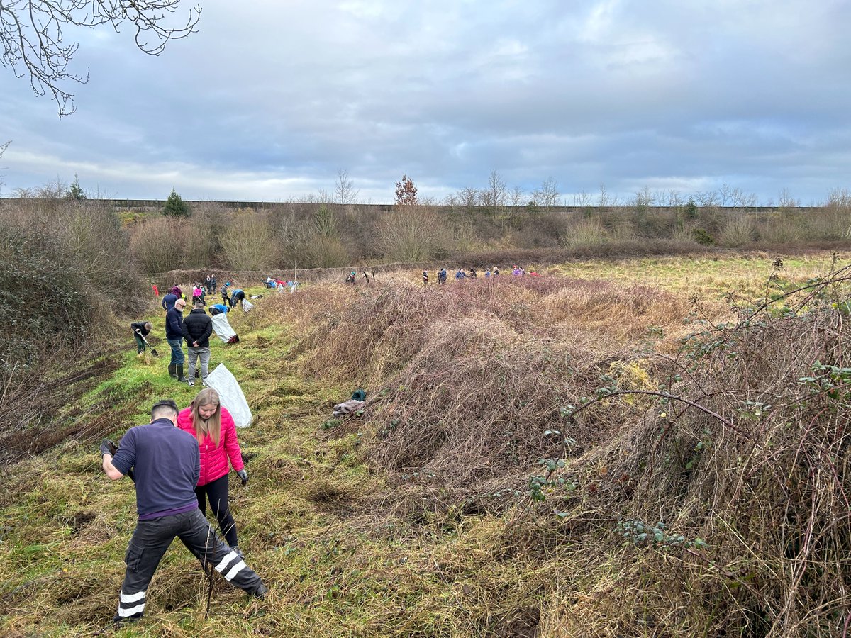 Native Woodland Trust tweet media